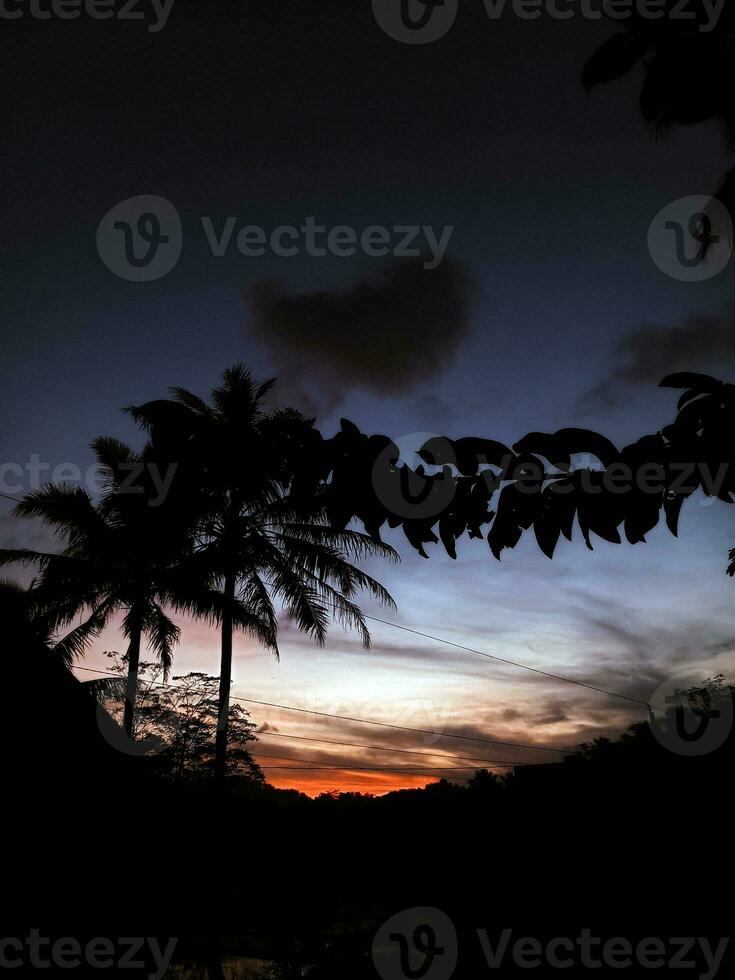 Beautiful views of blue and orange skies and shady tree silhouettes photo