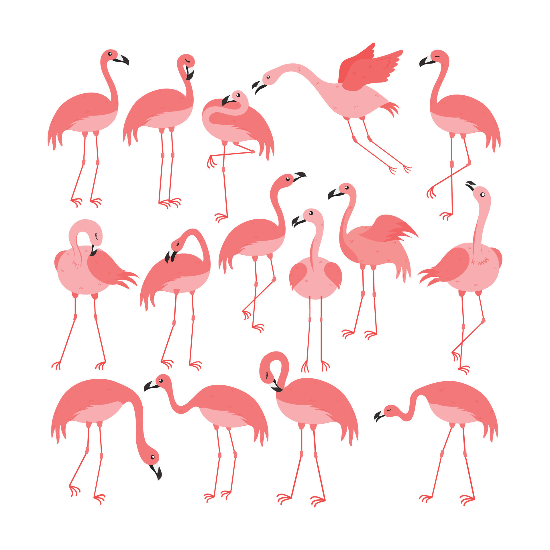 Pink Flamingo Cartoon Illustration Isolated In White Background. Summer ...