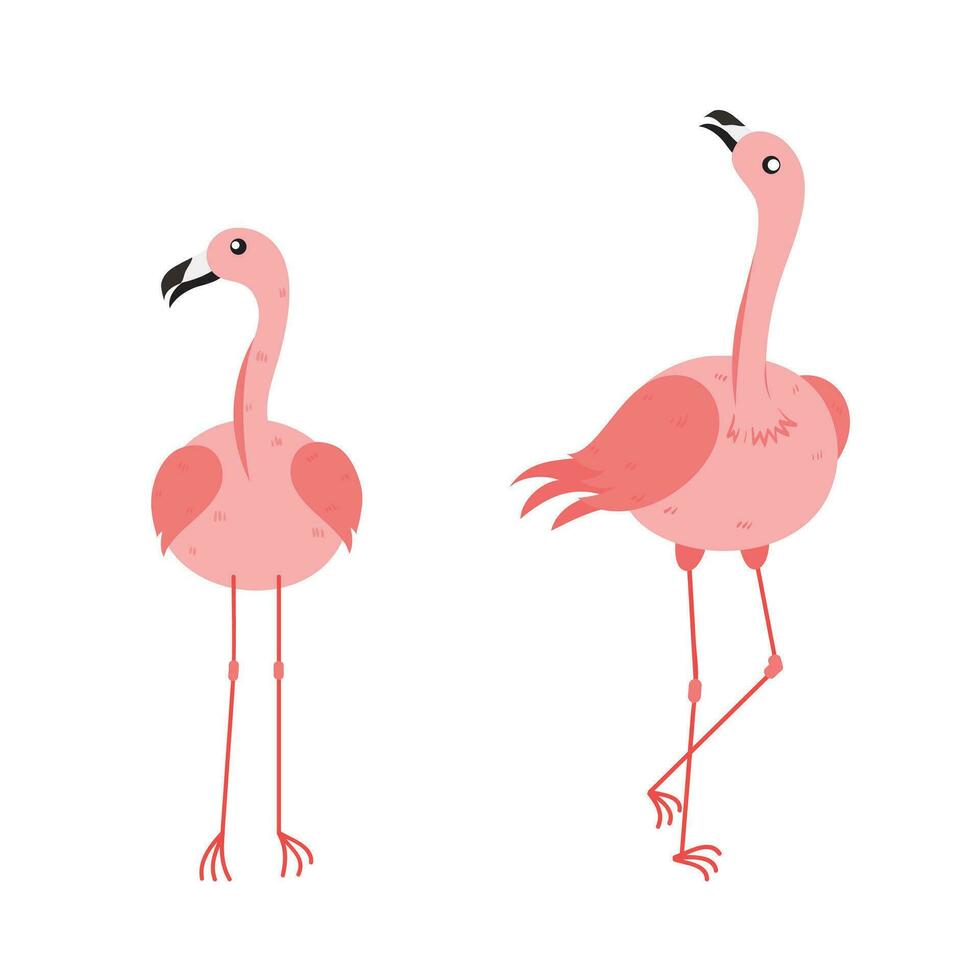 Pink Flamingo Cartoon Illustration Isolated In White Background. Summer Animal Illustration vector