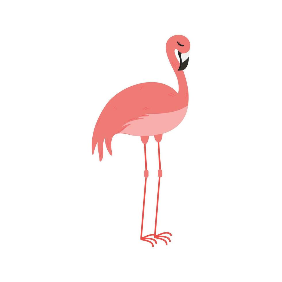 Pink Flamingo Cartoon Illustration Isolated In White Background. Summer Animal Illustration vector