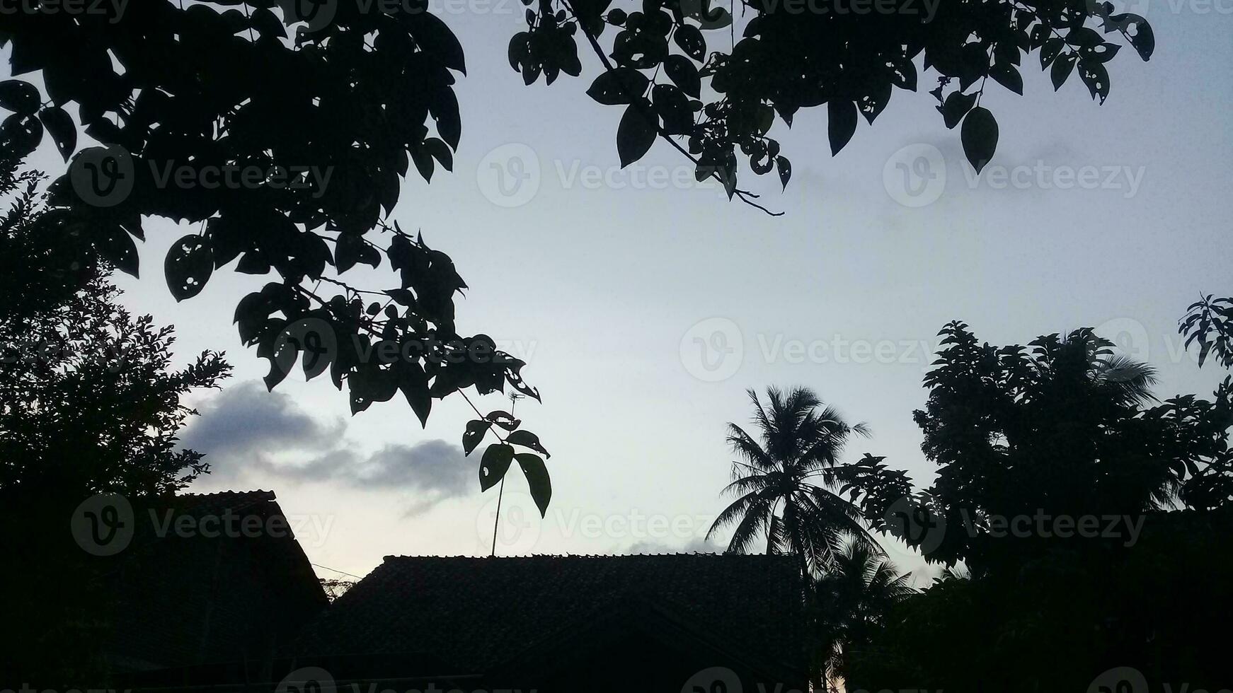 escénico ver de siluetas de arboles y oscuro nubes foto