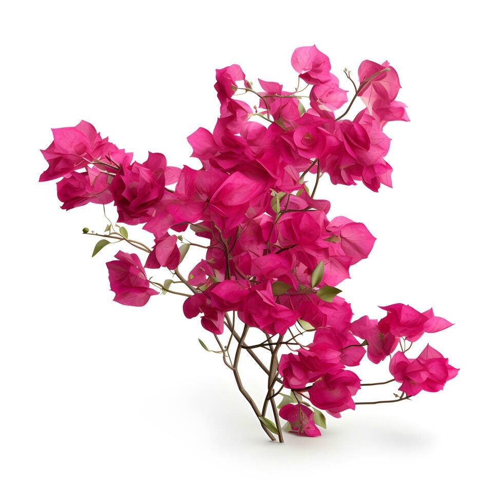 Bougainvillea flower or Pink flower. AI generetive photo