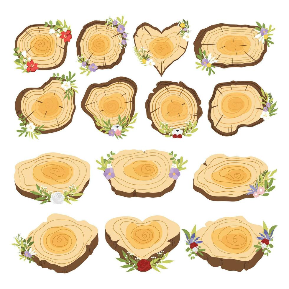 Wood Slice Illustration. Hand Drawn Vector Illustration Wooden Slice. Pre-made Wood Slice Design, Rustic Wood Slice Clipart.