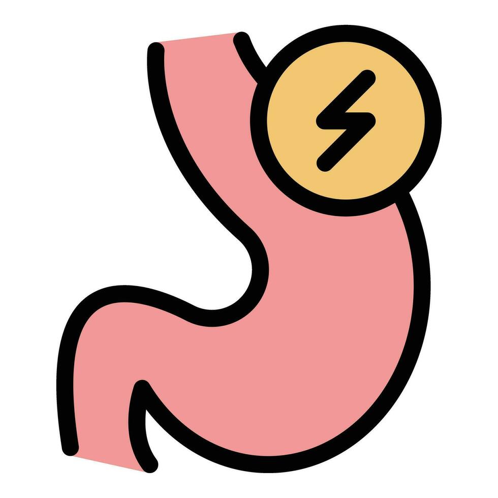 Stomach energy icon vector flat