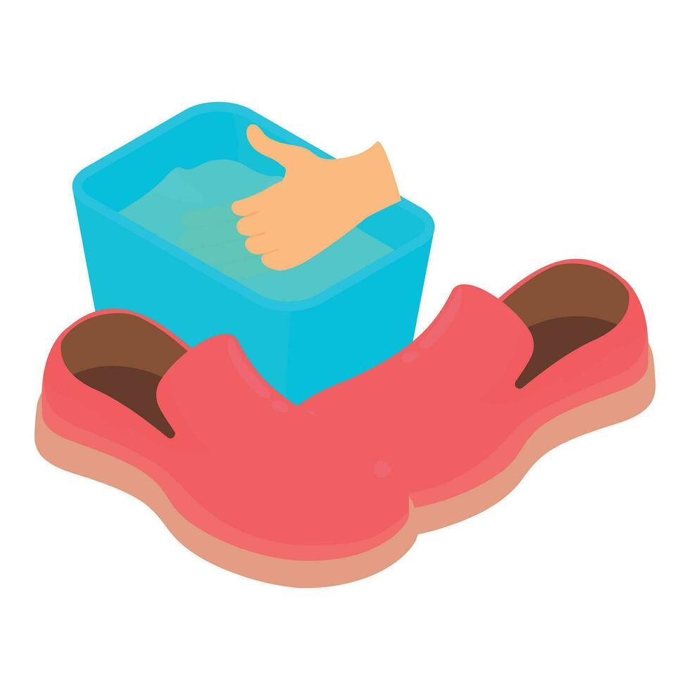 Autumn shoes icon isometric vector. Pair of leather shoes and basin of water vector