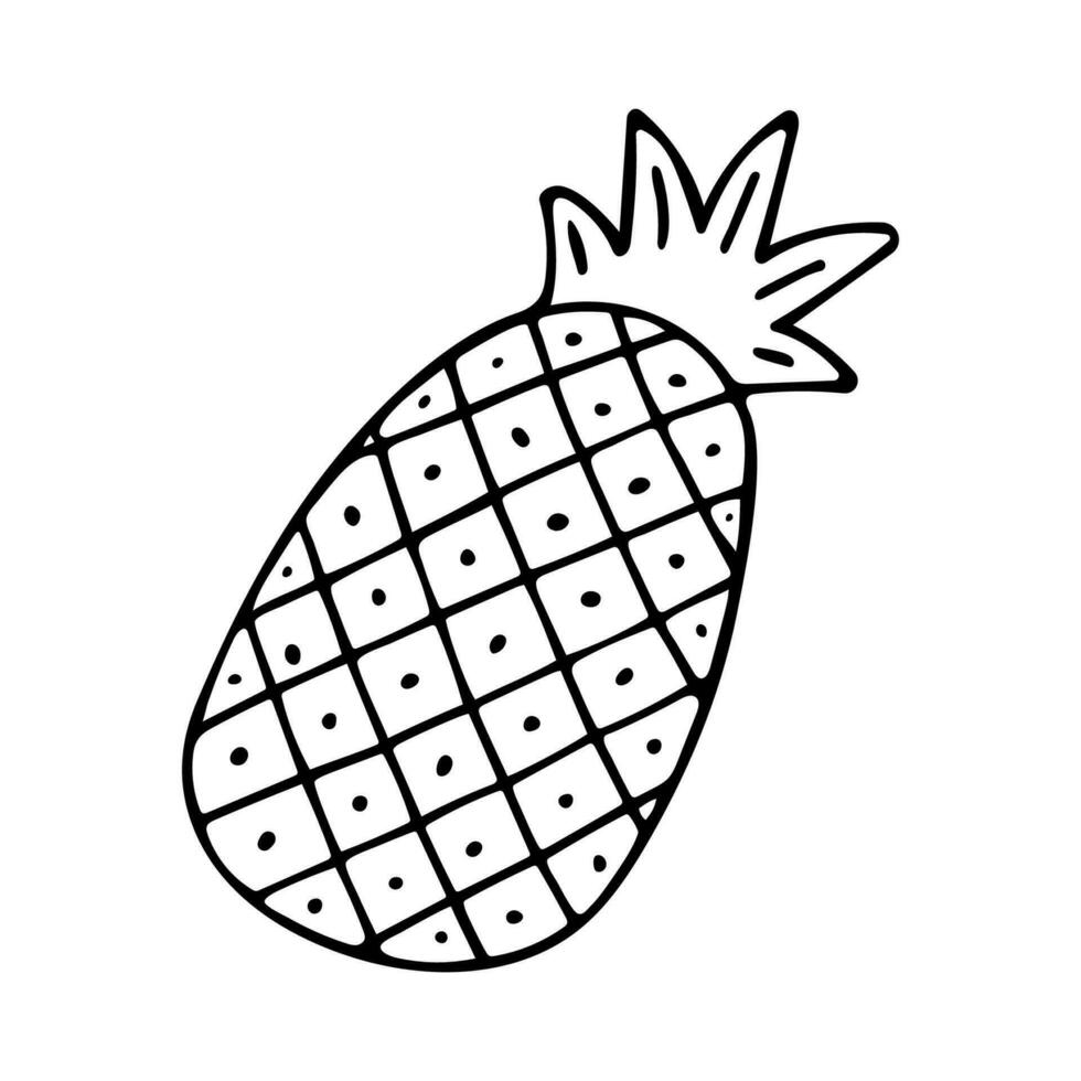 Doodle of pineapple isolated on white background. Hand drawn vector illustration of tropical fruit.