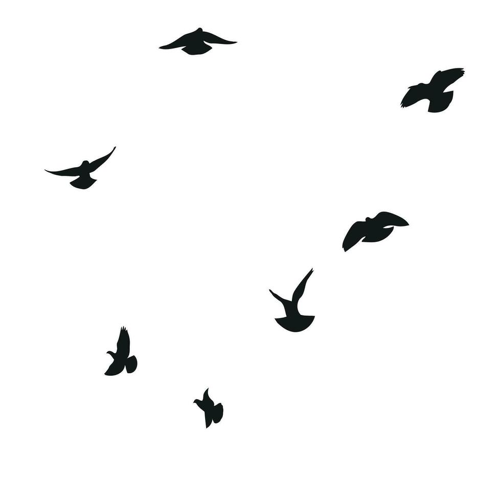 Silhouette sketch of a flock of flying birds, flight in different positions. Hover, soaring, landing, flying, flutter vector