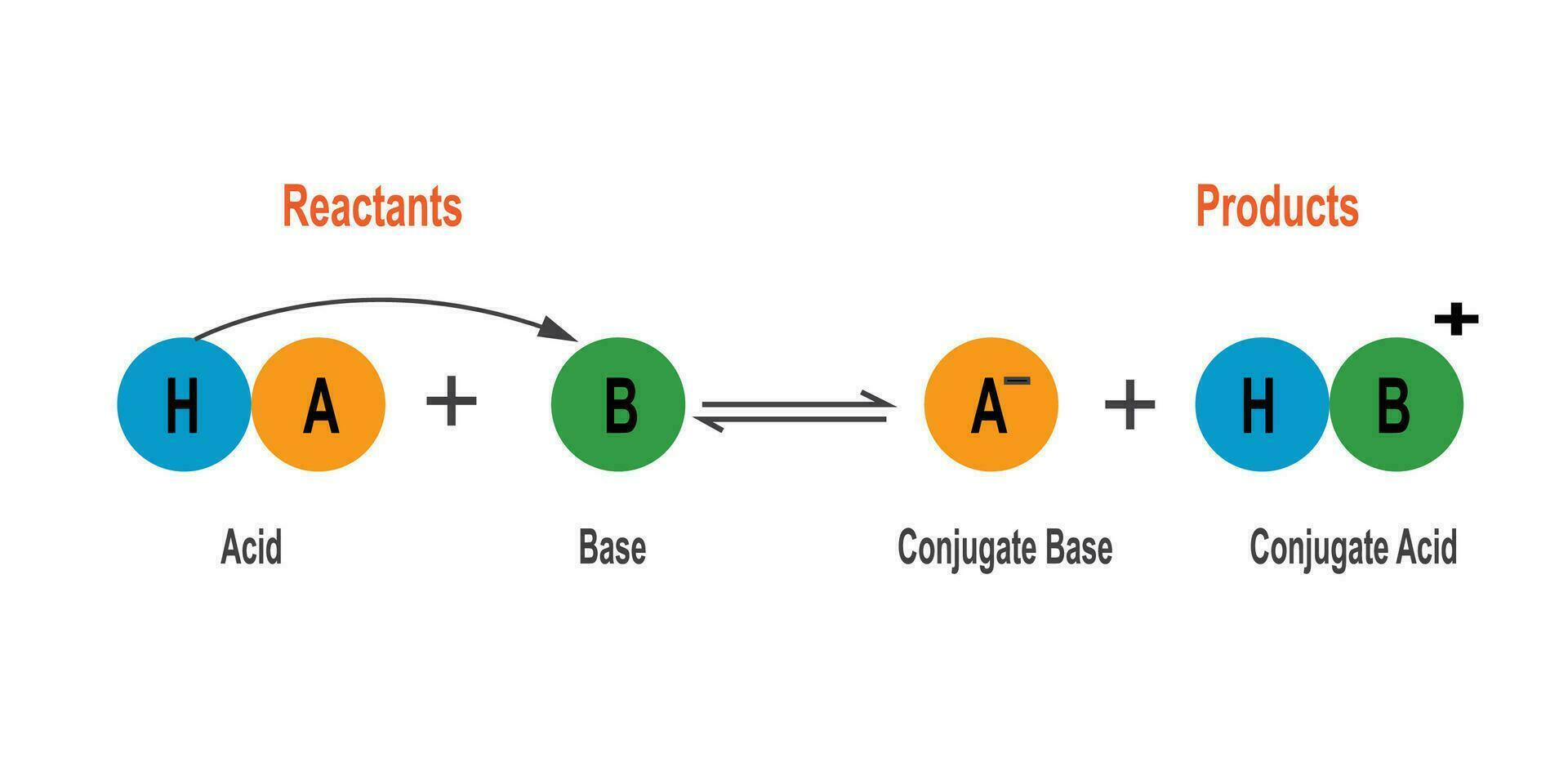 Bronsted Lowry acid base theory. vector