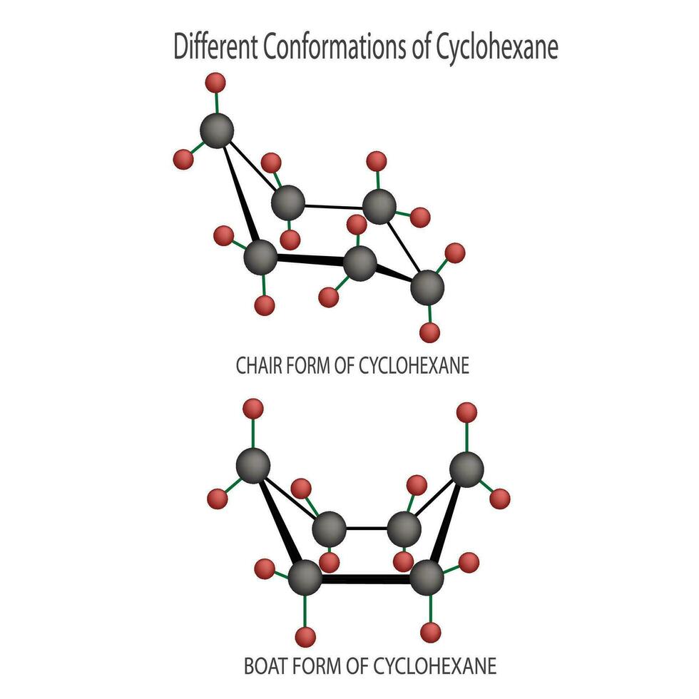 different conformations of cyclohexane vector