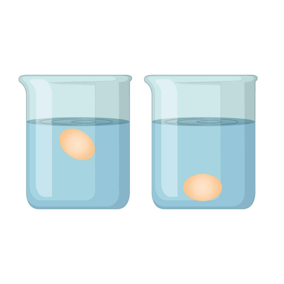 egg floating test vector