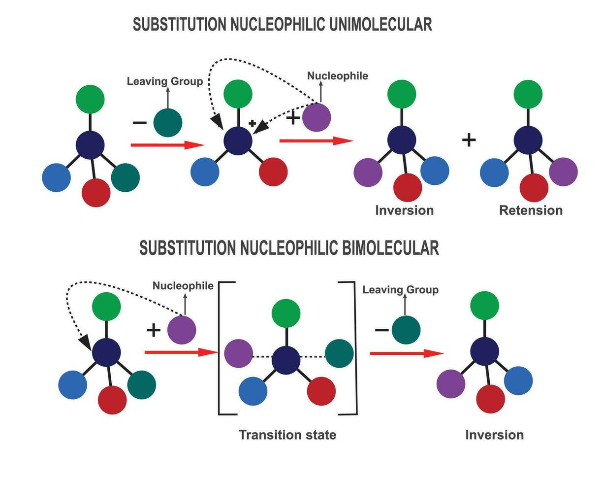 nucleophilic substitution reaction, SN1 and SN2 reaction vector