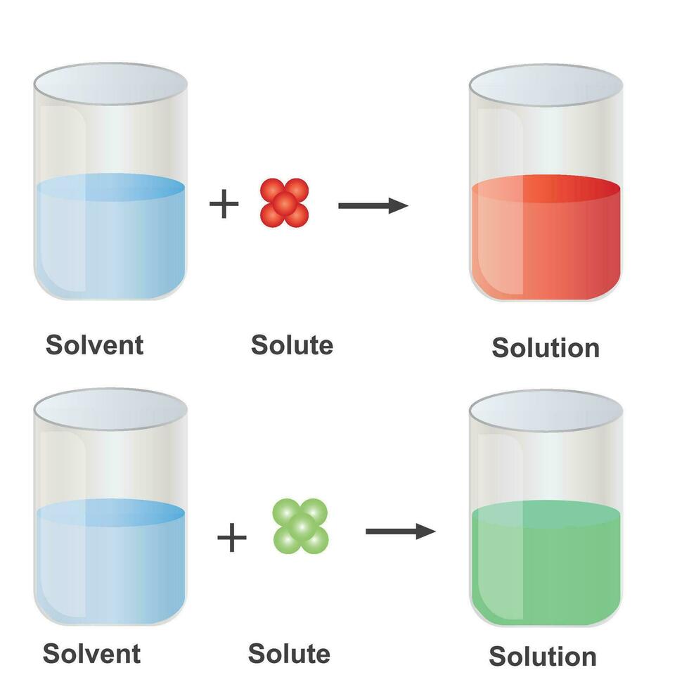 Solutions. Solubility homogeneous mixture. Solute, solvent and solution. Dissolving solids. Educational diagram.schematic of solubility in chemistry vector