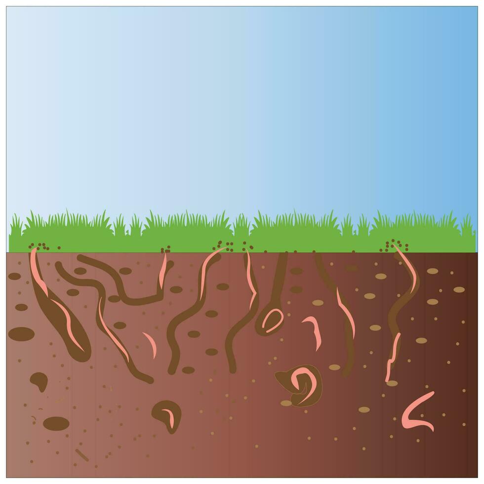 Worms under the ground. Insects in soil. Brown earth with small pink animals.Worm and green plant. vector