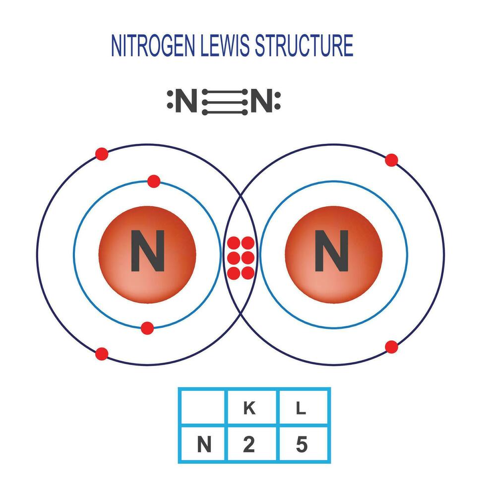 nitrogen lewis structure vector