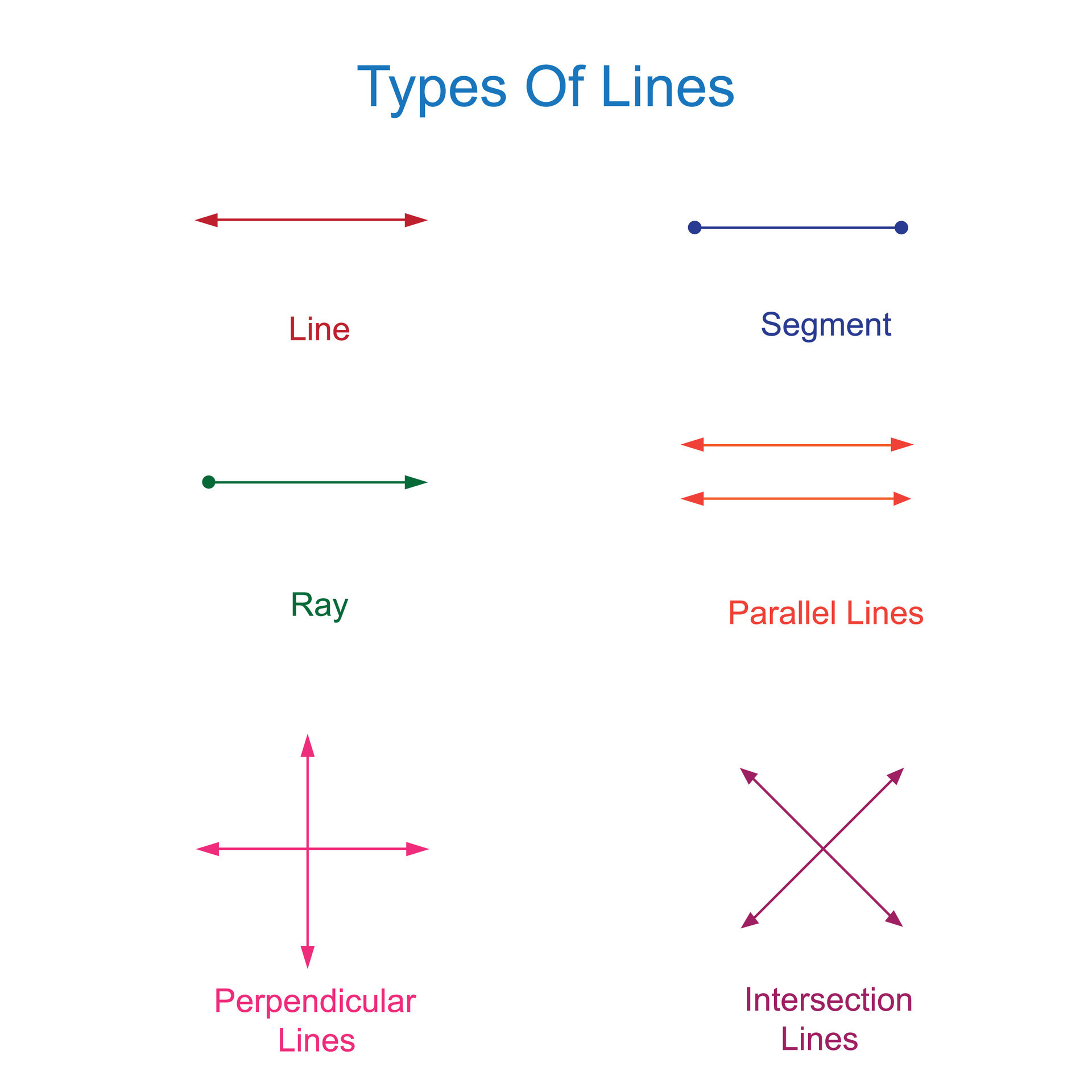 Different types of lines in mathematics. Mathemetical concept. 27798500