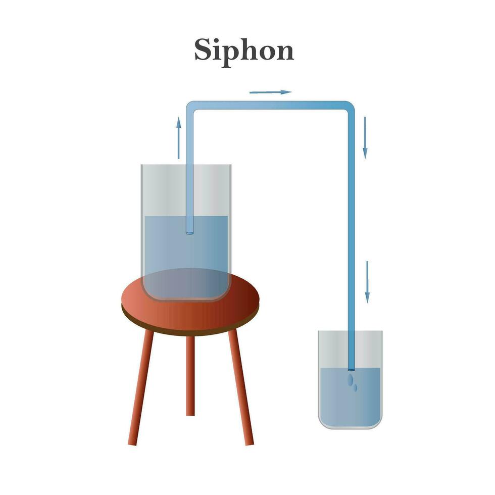 Siphon principle. Physics illustration. vector