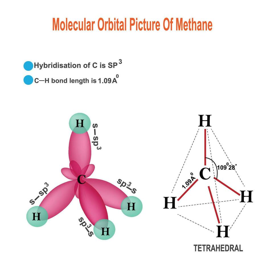 molecular orbital imagen de metano, hibridación de C en metano es sp3 vector