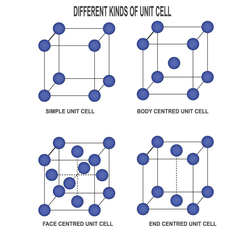 SOLID UNIT CELL vector