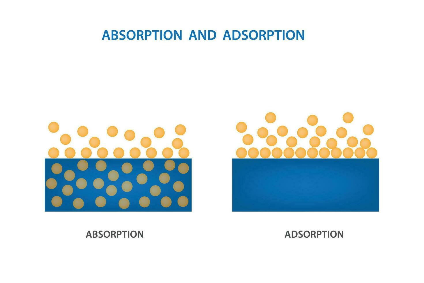 diferencia Entre adsorción y absorción vector ilustración 2