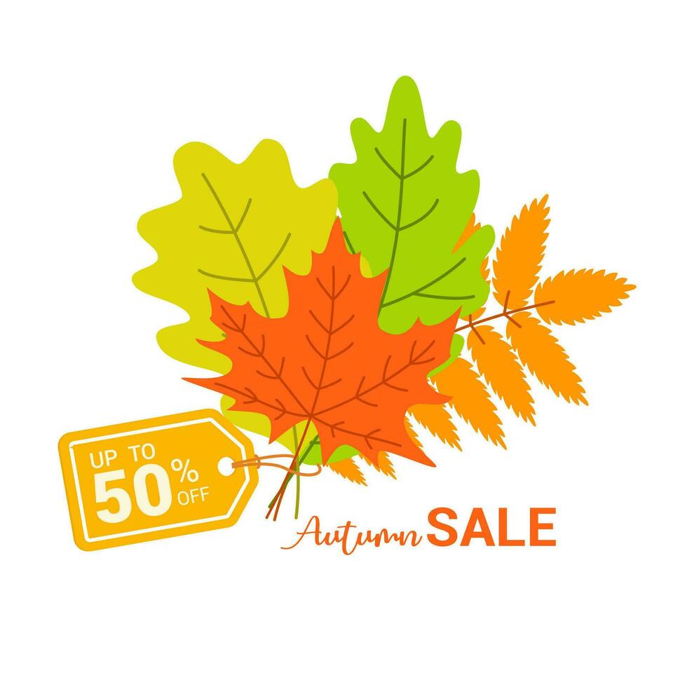 Autumn Fall Season Sale Ad. Colorful fall leaves and advertising discount text. Vector background design.