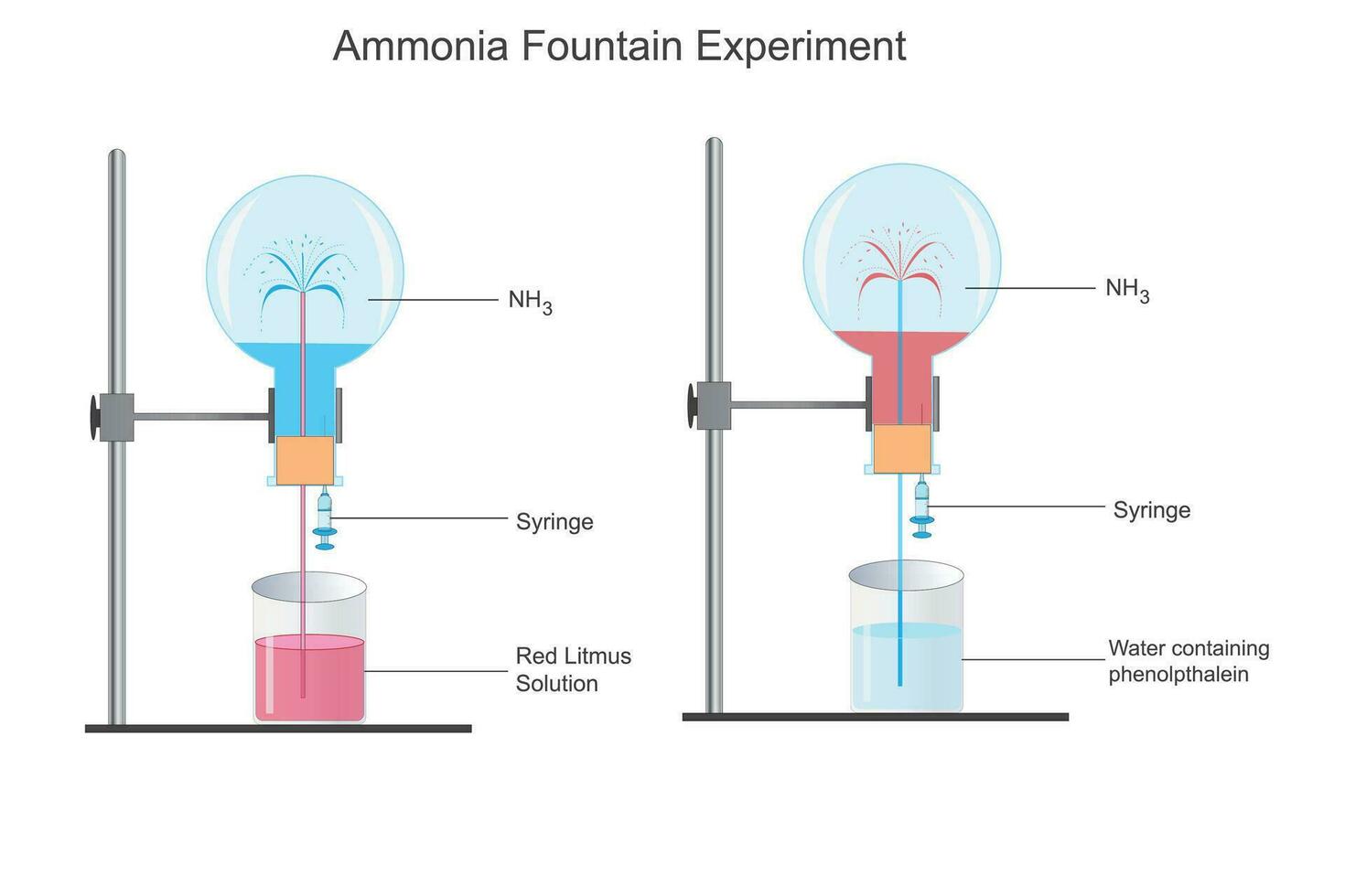 Ammonia fountain experiment to show the solubility of ammonia gas. chemical illustration. vector