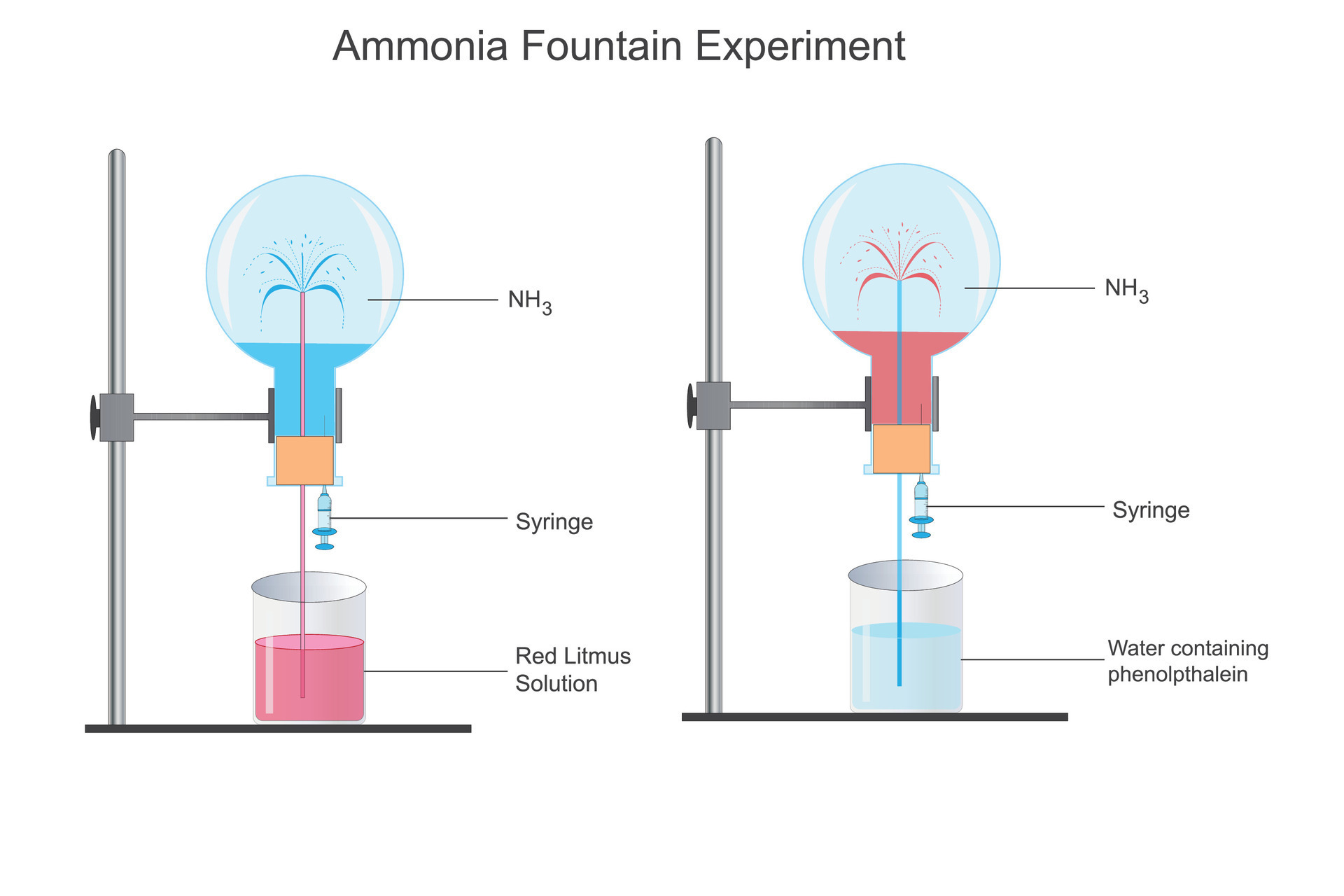 Ammonia fountain experiment to show the solubility of ammonia gas