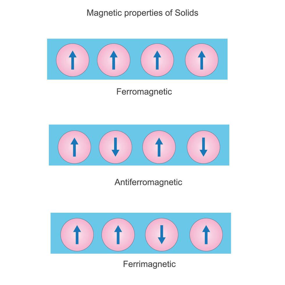 Magnetic properties of solids, ferromagnetic, antiferromagnetic and ferrimagnetic substances. Science illustration. vector