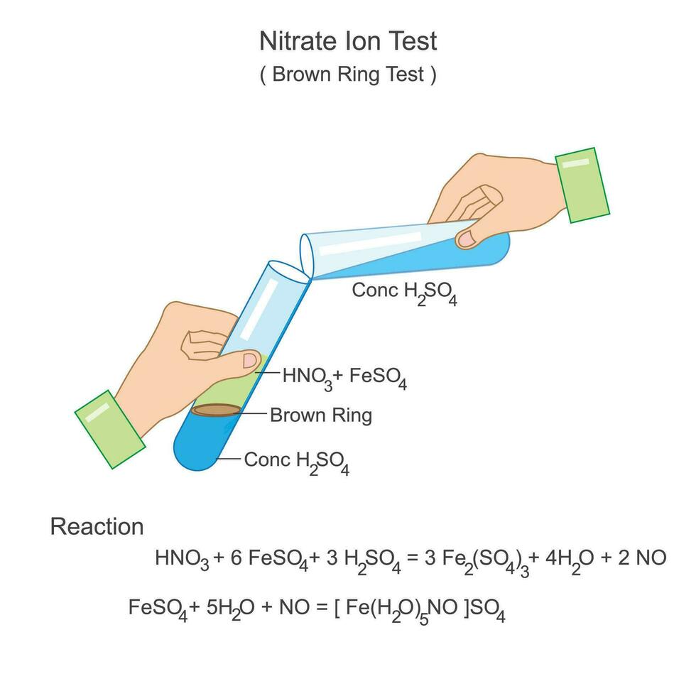 ring test for nitrate ions vector