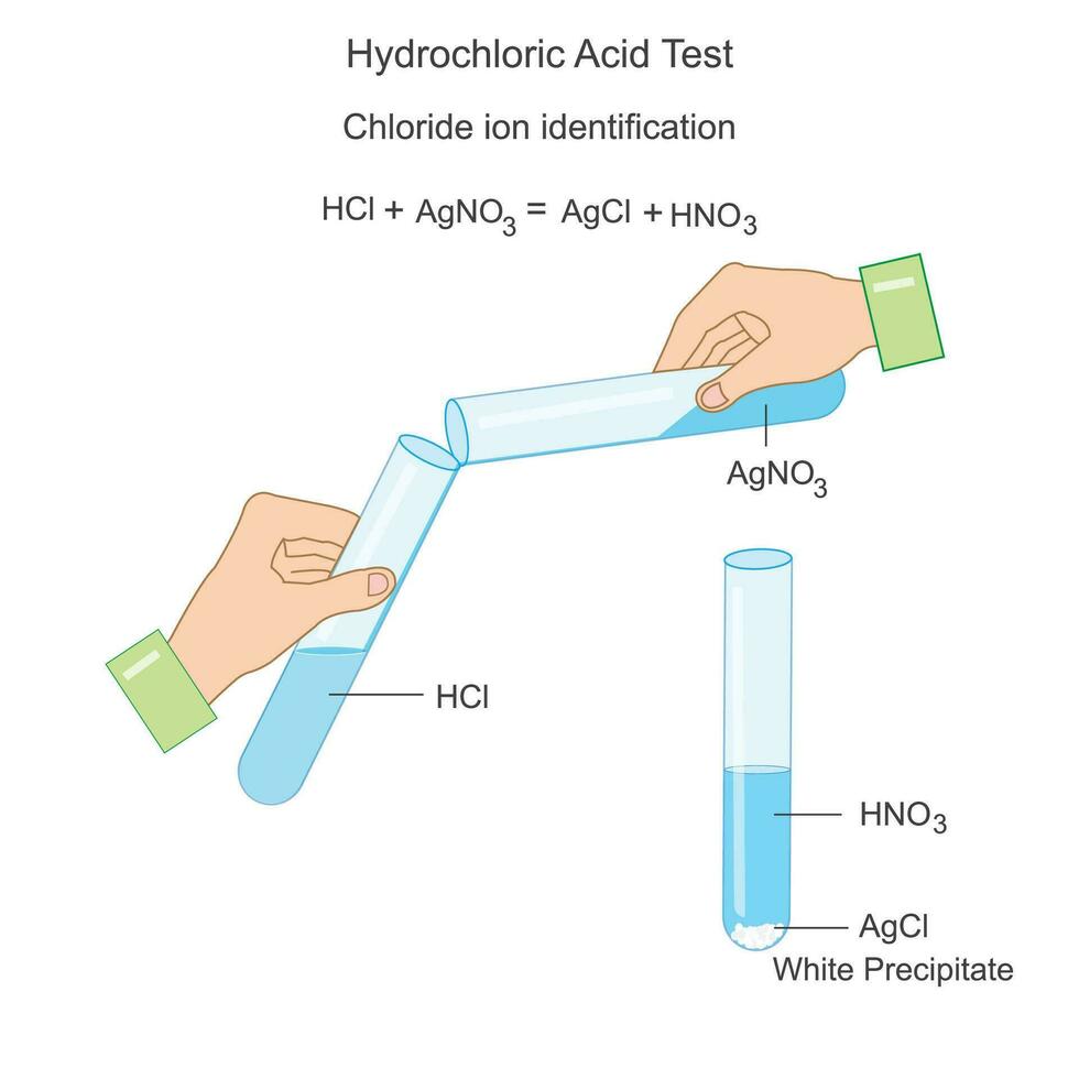 Hydrochloric acid identification test. Chemistry illustration. chemical reaction of precipitation.Test for chloride ion. vector