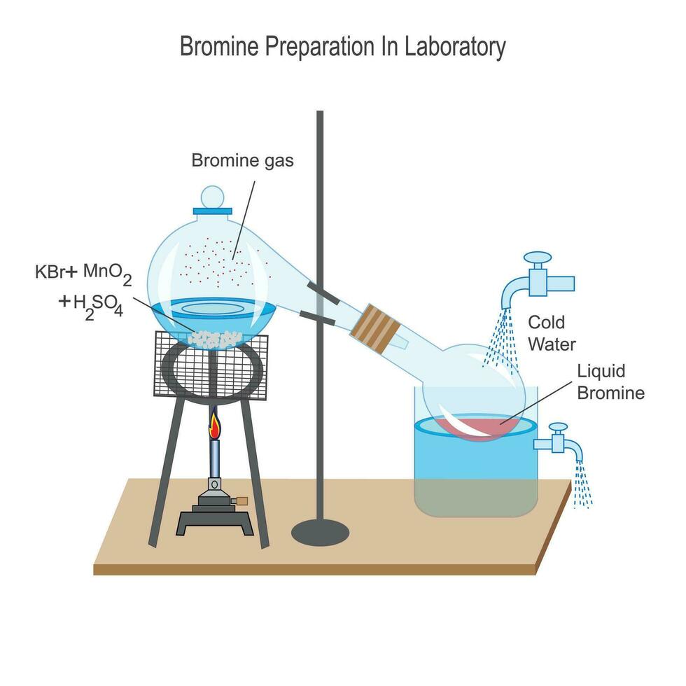 Bromine preparation in laboratory. Bromine is liquid at room temparature. potassium bromide, manganese dioxide and concentrated sulphuric acid react to give bromine. vector illustration