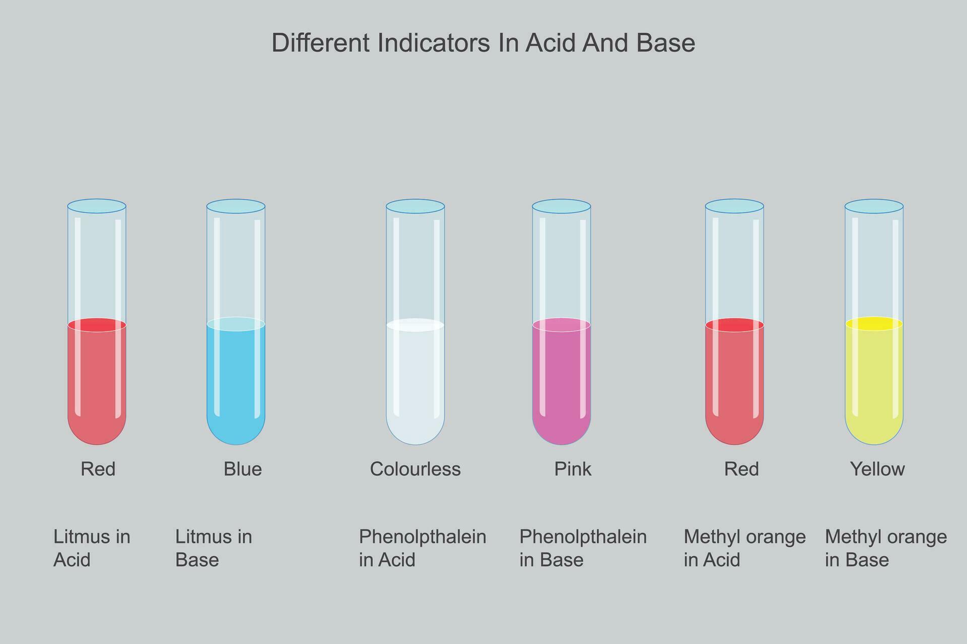Different indicators litmus, phenolpthalein, methyl orange in acid and