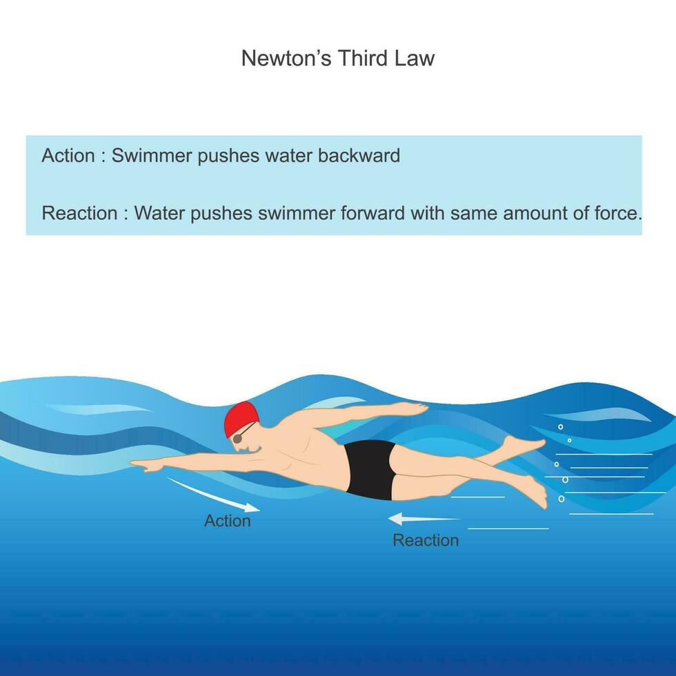 newtons tercero ley. nadador empuja agua hacia atrás con fuerza y en regreso agua empuja nadador adelante con mismo cantidad de fuerza. física ilustración. vector