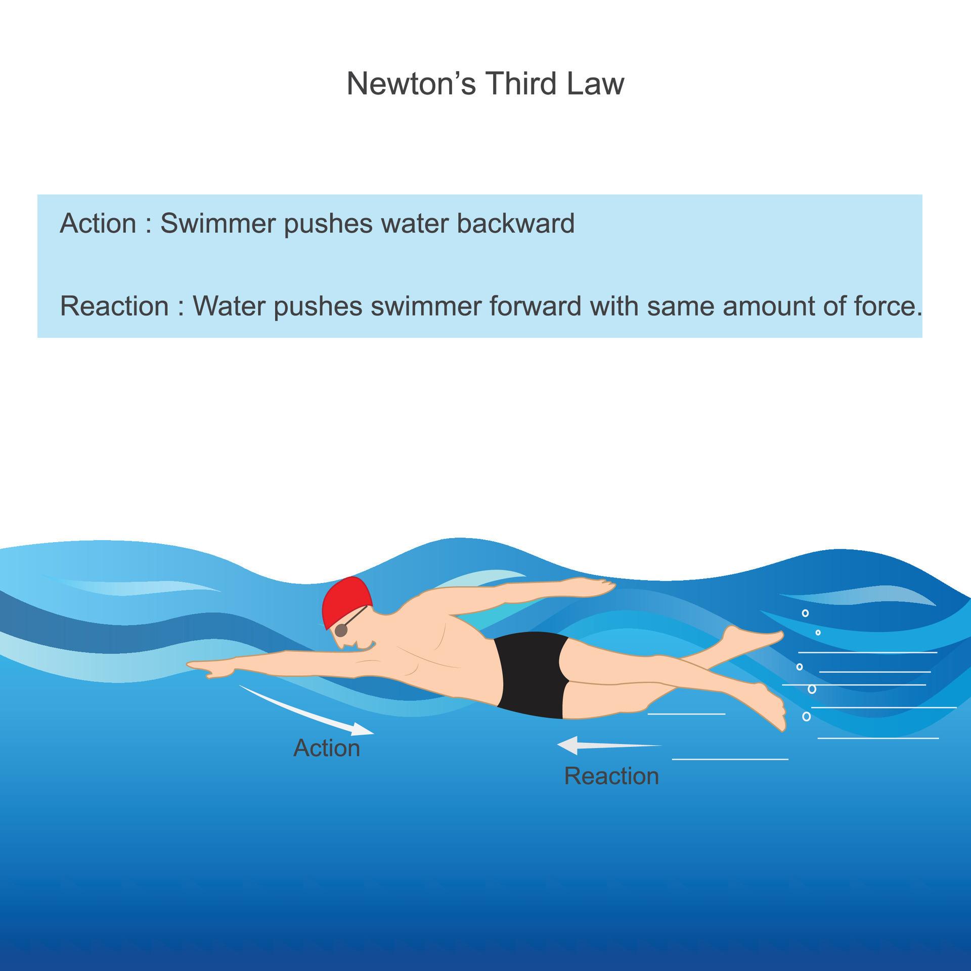 Newtons Third Law