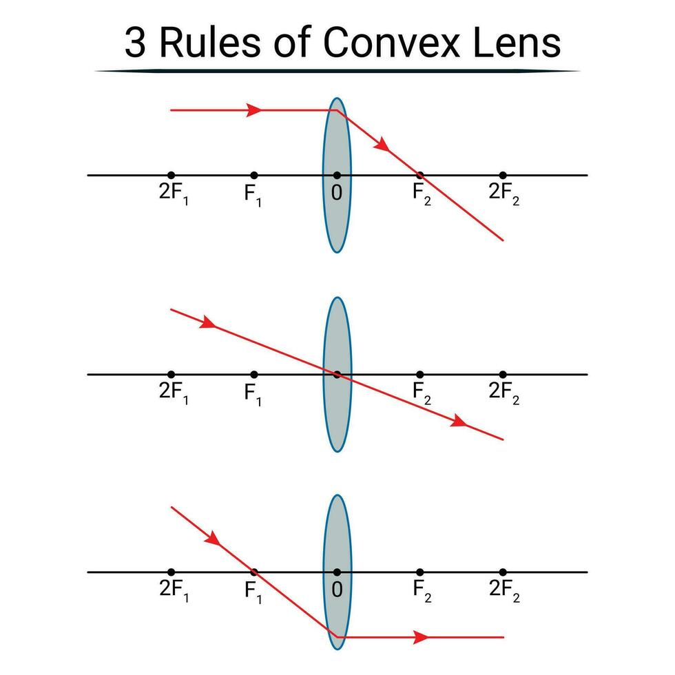 3 rules of convex lens 27799692 vector art at vecteezy