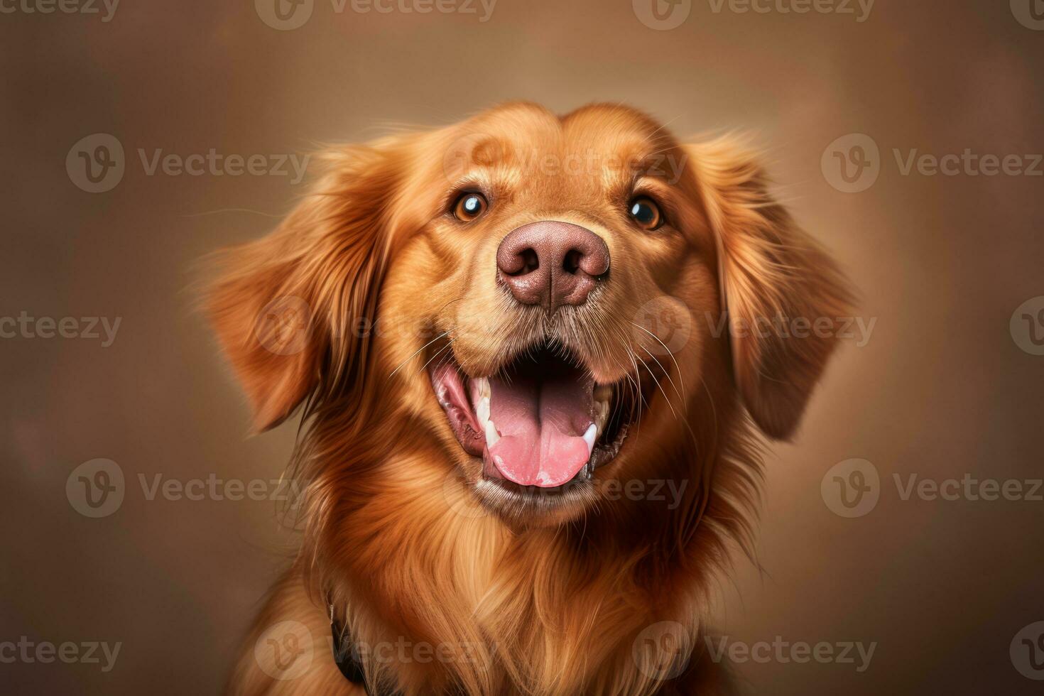 portrait of a golden retriever on a brown background generative AI photo