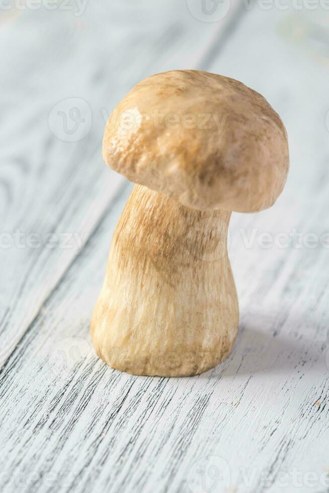 porcini seta en el de madera antecedentes foto