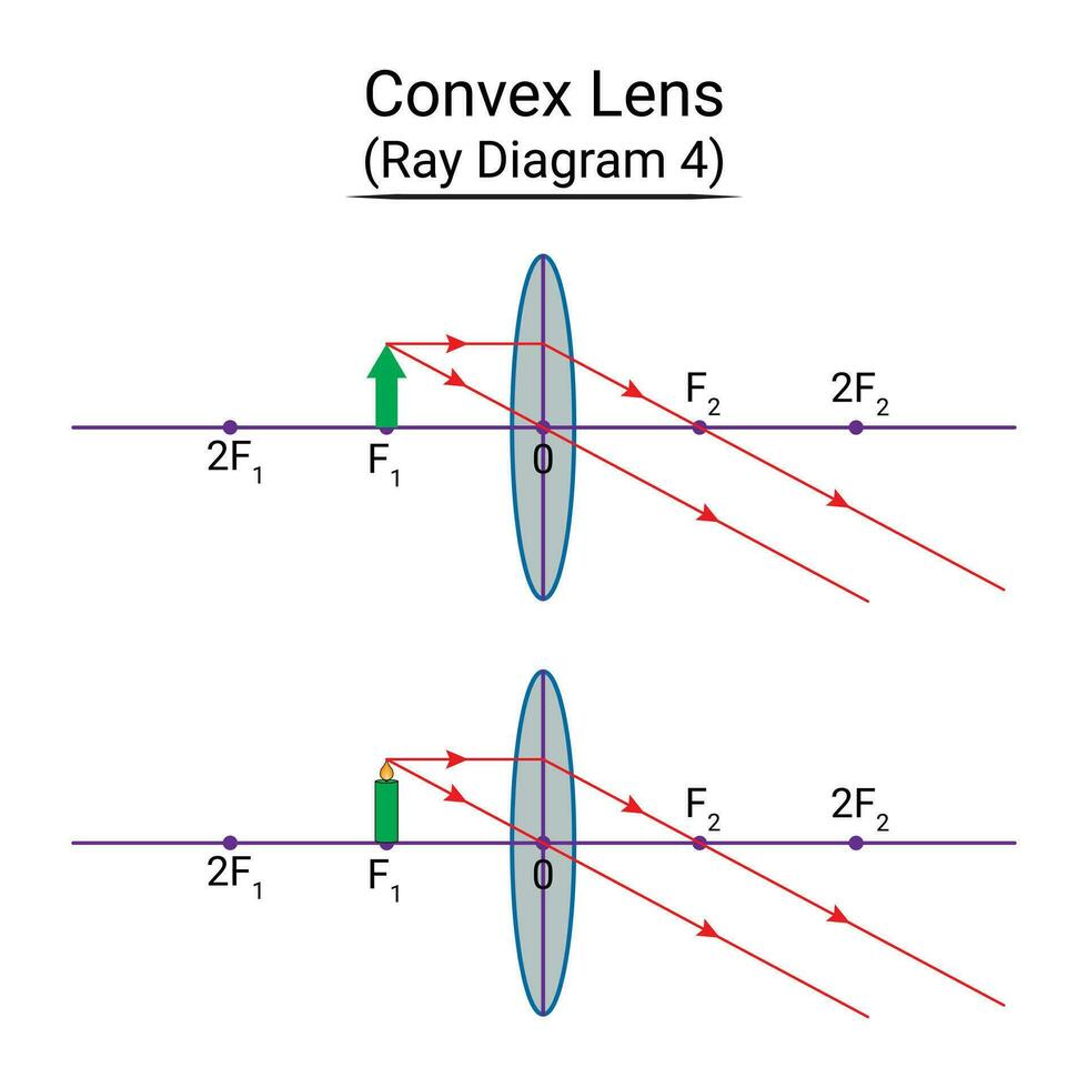 convexo lente rayo diagrama 4 4 vector