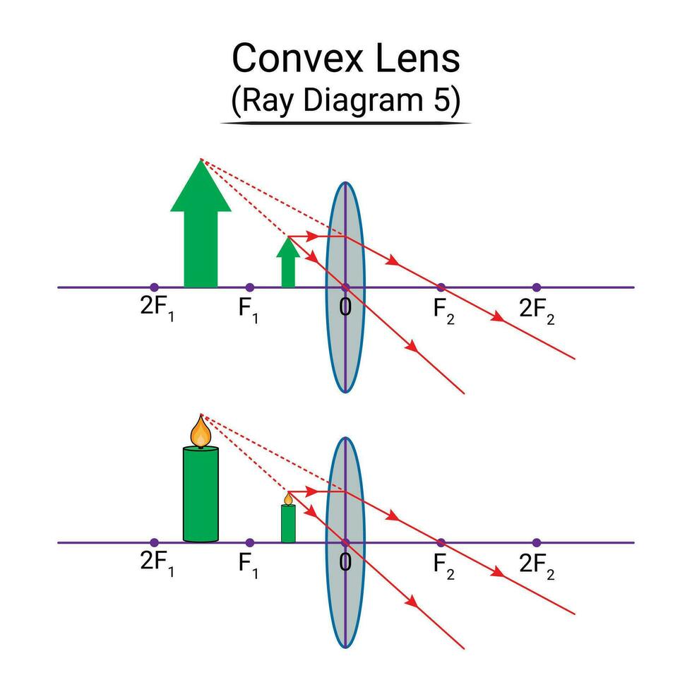 Convex Lens Ray Diagram 5 27800002 Vector Art at Vecteezy