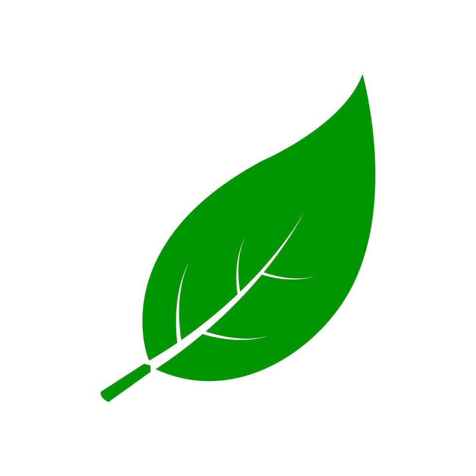 verde hoja eco simpático vector icono o logo