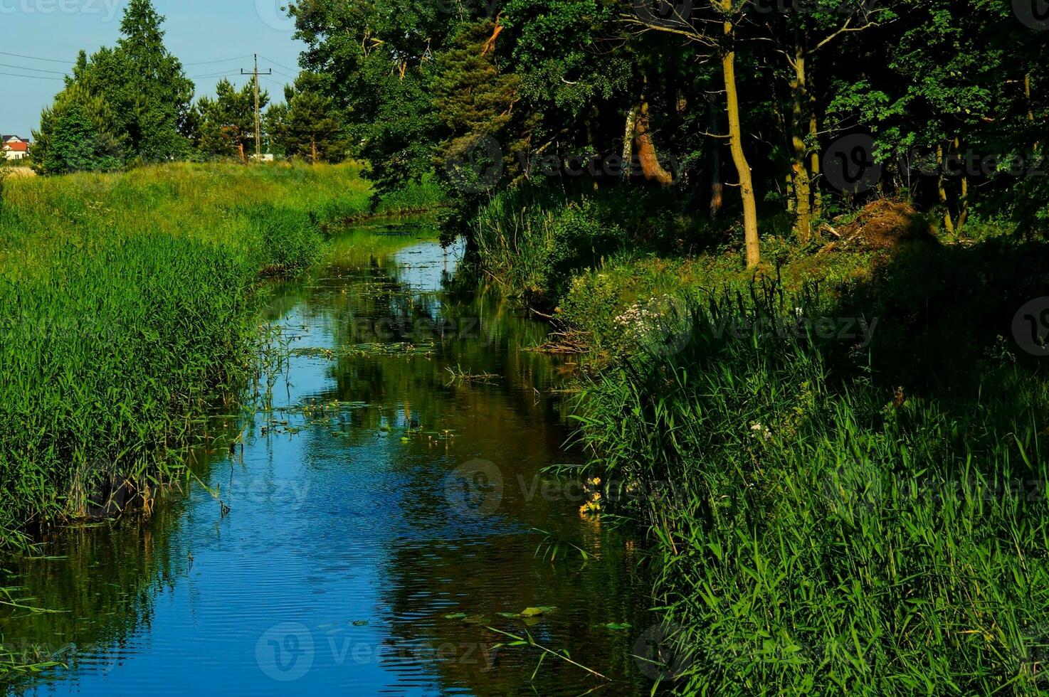 verano paisaje con un río y verde arboles y un Junco en el apuntalar foto