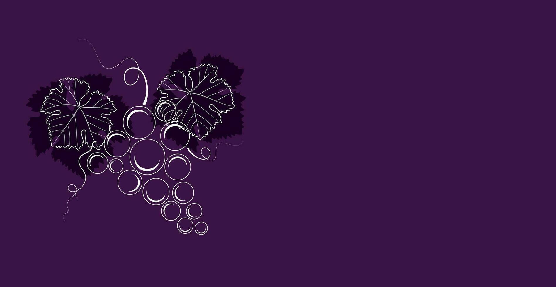 Vector illustration of grapes with vines and branches for use in logo or other