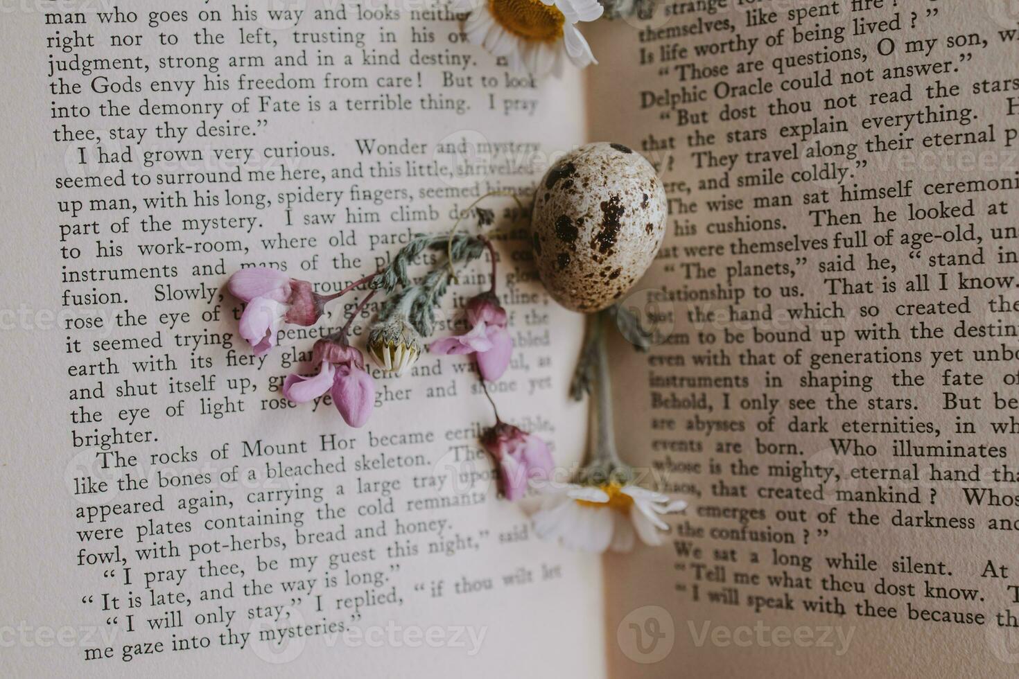 close-up of a  little spring daisy flower and chamomile quail egg on the background of an old book photo