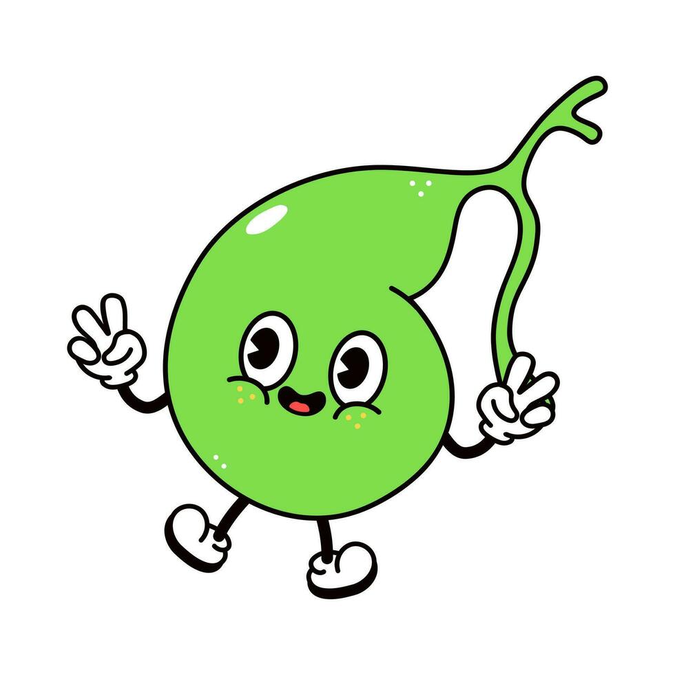 Jumping Gallbladder character. Vector hand drawn traditional cartoon vintage, retro, kawaii character illustration icon. Isolated on white background. Gallbladder jump character concept