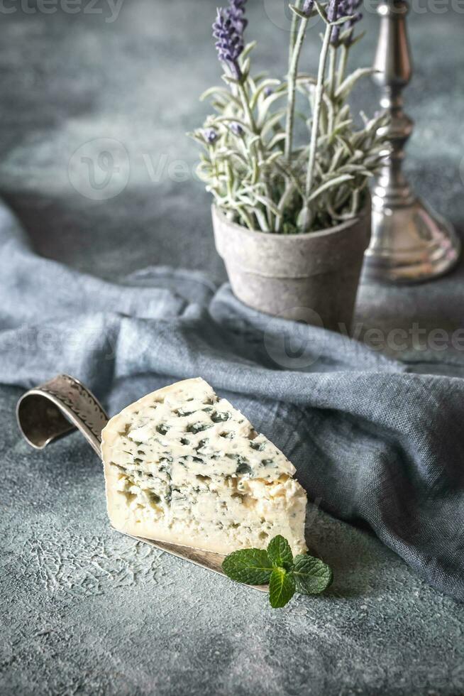 Blue cheese with mint leaves photo