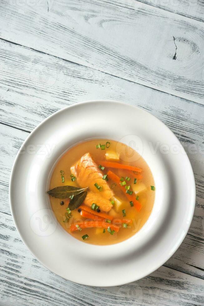 Portion of salmon soup photo