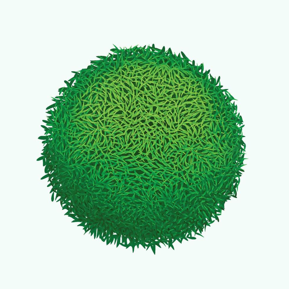 picture of grass vector