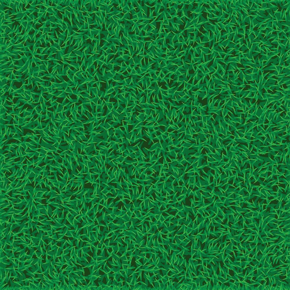 picture of grass lawn vector
