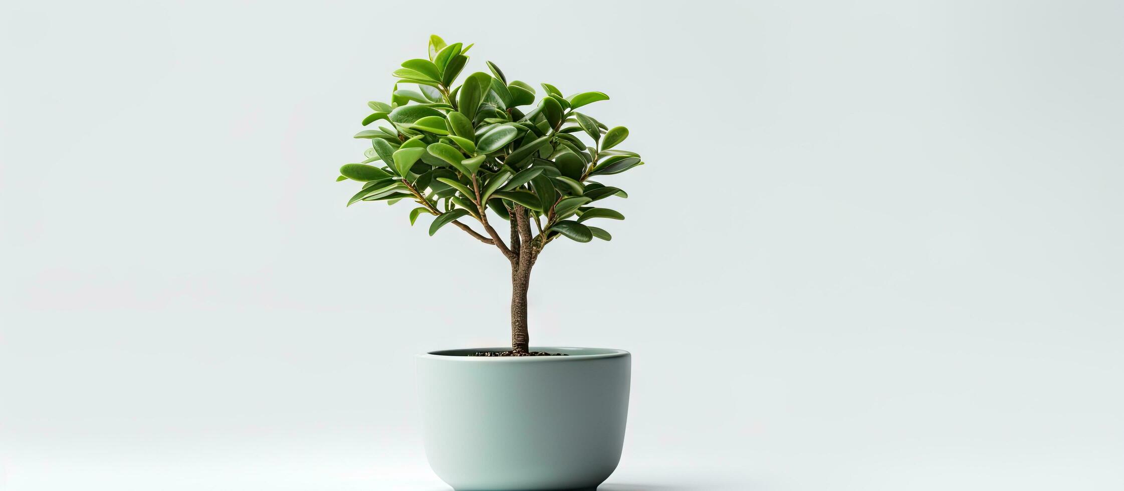 el plastico árbol en un maceta blanco antecedentes foto