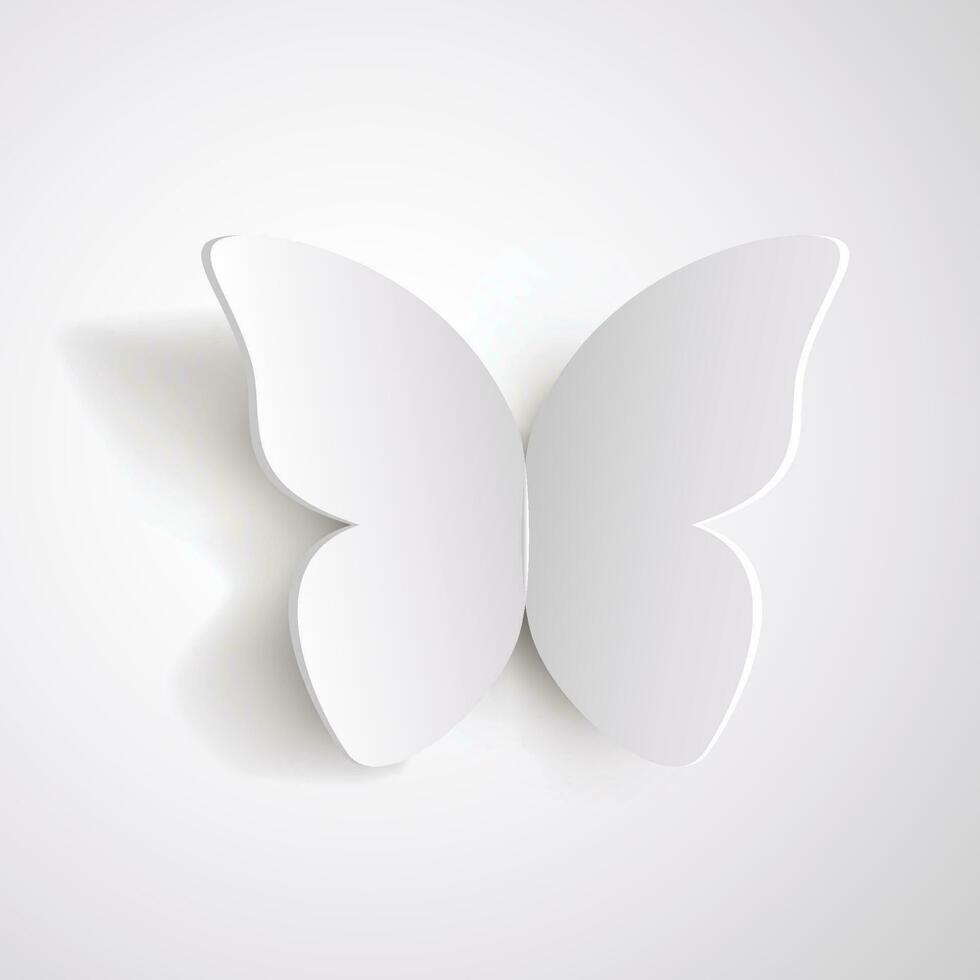 white paper butterfly vector