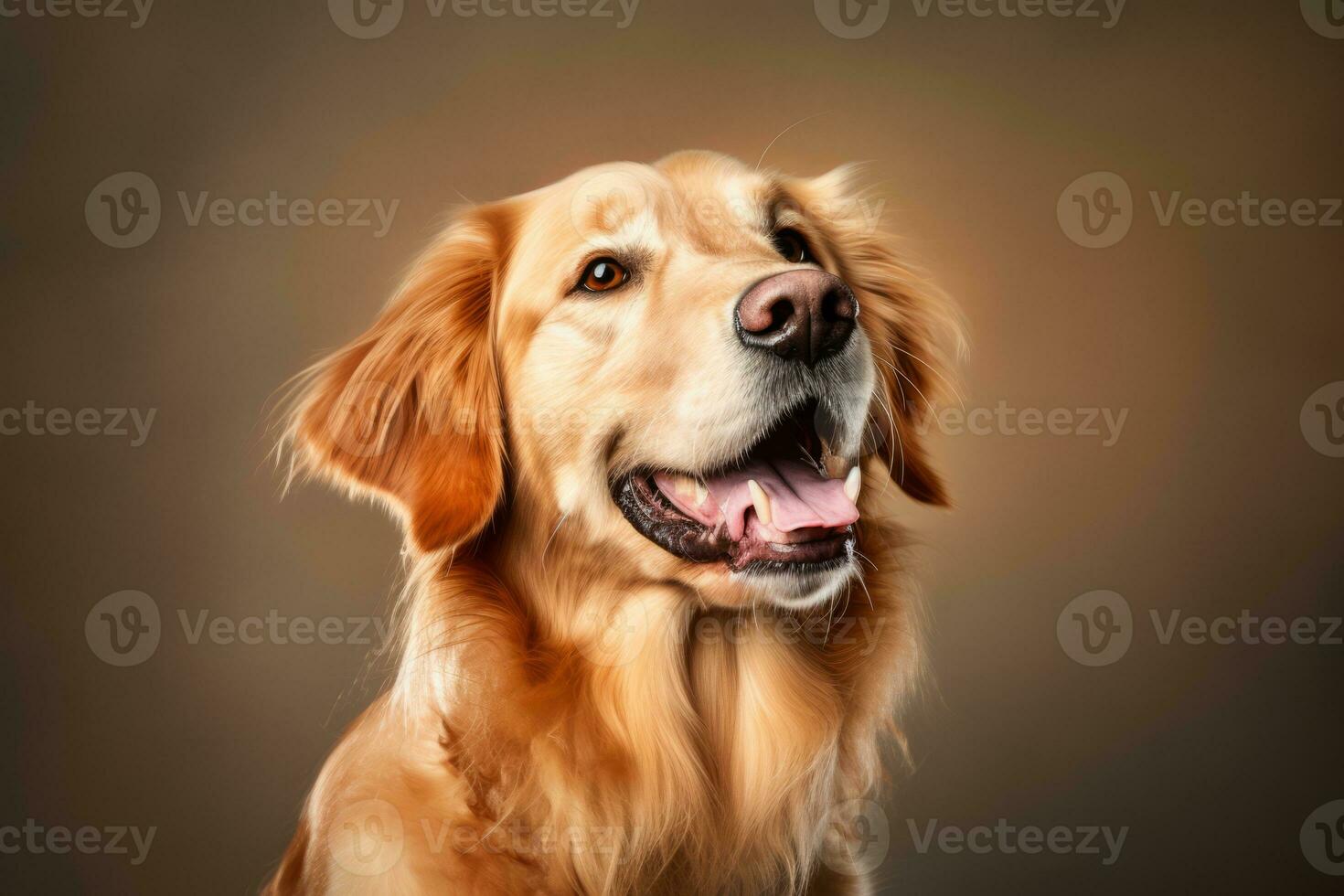golden retriever dog portrait on brown background generative AI photo